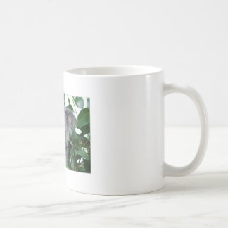 Niedlicher Koala Tasse