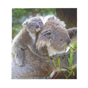 Niedlicher Koalabär mit Mama in einem Baum Notizblock