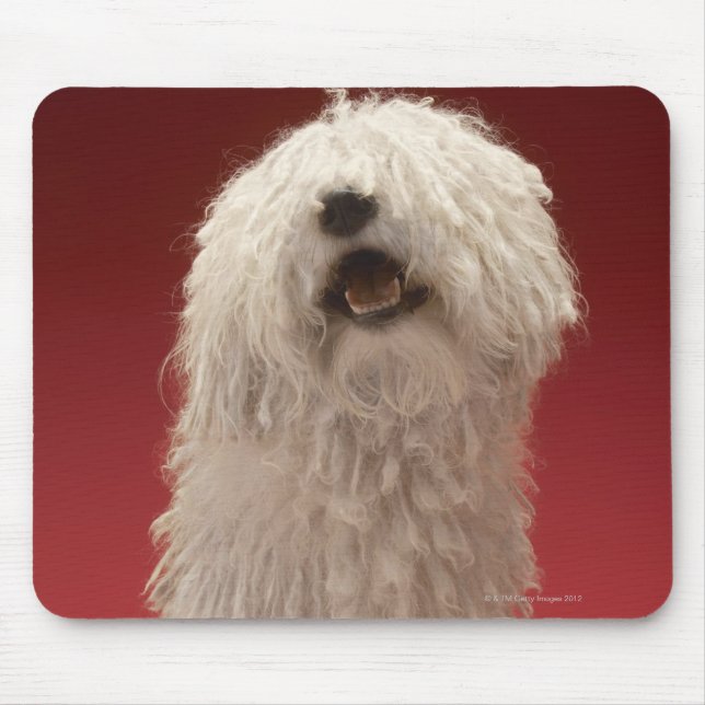 Niedlicher Komondor Hund Mousepad (Vorne)