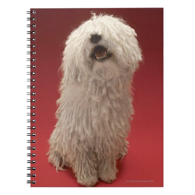 Niedlicher Komondor Hund Notizblock (Vorderseite)