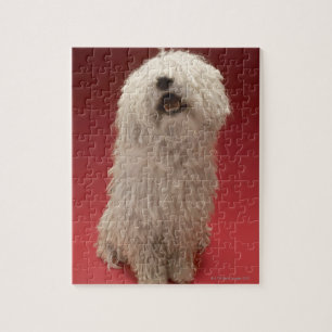 Niedlicher Komondor Hund Puzzle