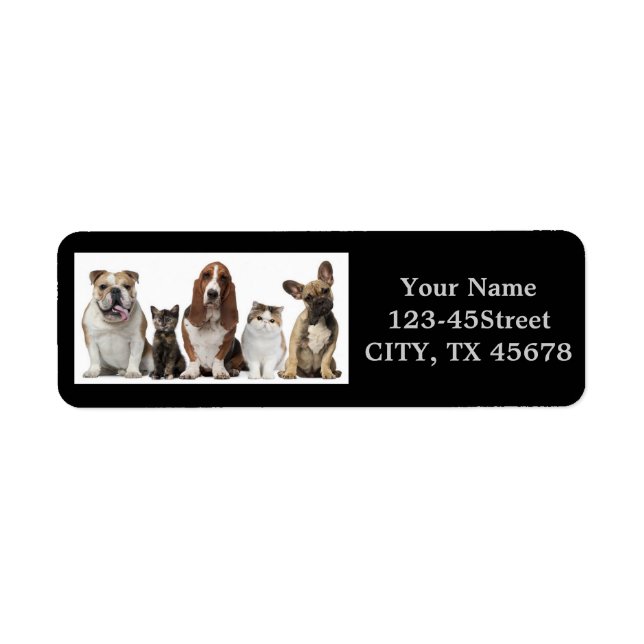 niedlicher kurzer Haarkatzenfreund Basset-Hundshun (Vorne)