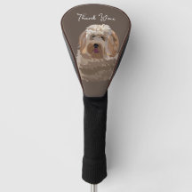 Niedlicher Labradoodle Hund Personalisiert