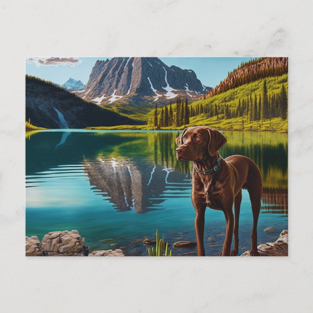 Niedlicher Labrador Hunde Schokolade Labrador Retr Postkarte (Vorderseite)