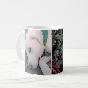Niedlicher Labrador Retriever Mix Müde Hund Grün Kaffeetasse