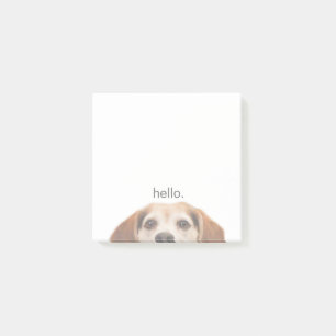 Niedlicher lächelnder Beagle mit Hallo Quote Post- Post-it Klebezettel