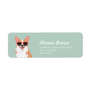 Niedlicher lächelnder Pembroke-WaliserCorgi für