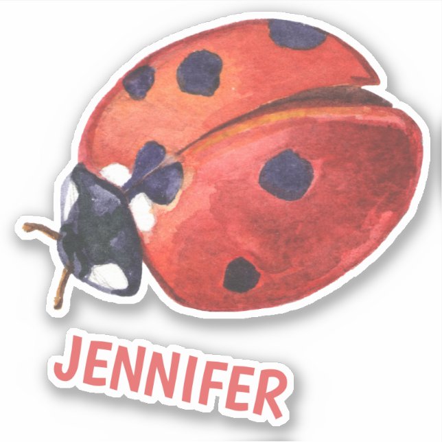 Niedlicher Ladybug-Cartoon - Personalisierter Kind Aufkleber (Vorderseite)