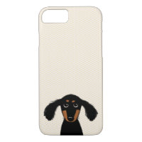 Niedlicher langhaariger Dackel-Welpe