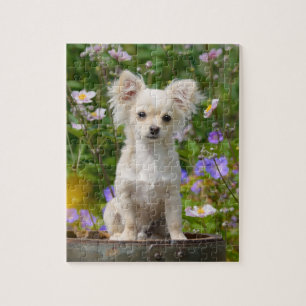 Niedlicher langhaariger Sahnechihuahua-Hundewelpe Puzzle
