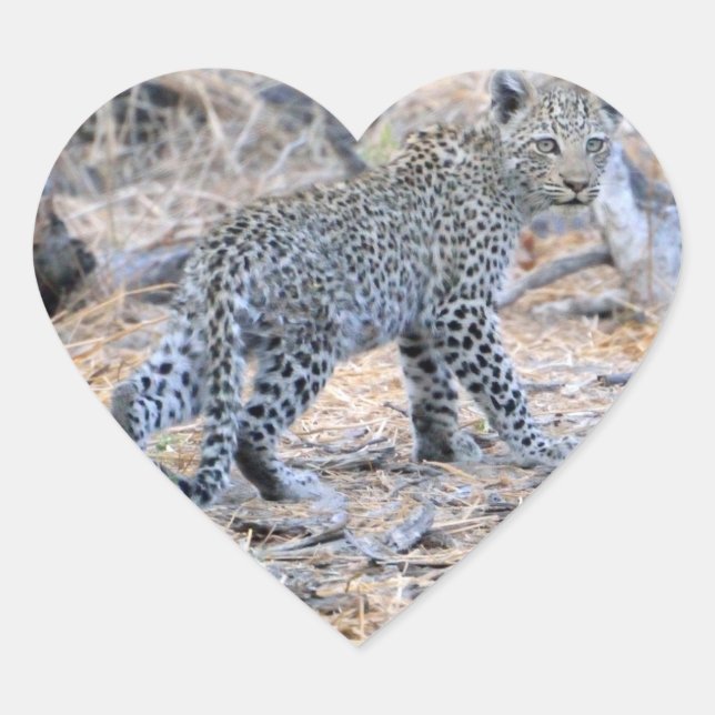 Niedlicher Leopard auf der Schüssel Herz-Aufkleber (Vorderseite)
