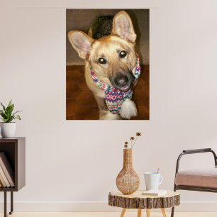 Niedlicher liebenswerter Hund mit Scarf Poster