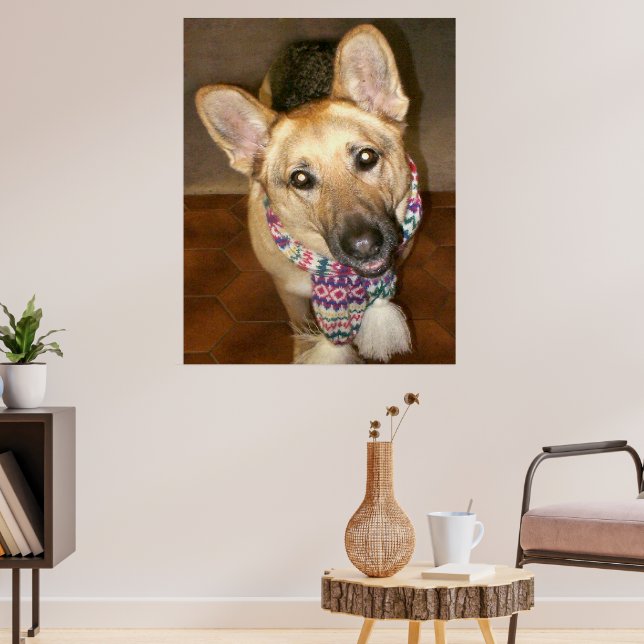 Niedlicher liebenswerter Hund mit Scarf Poster (Wohnzimmer 3)