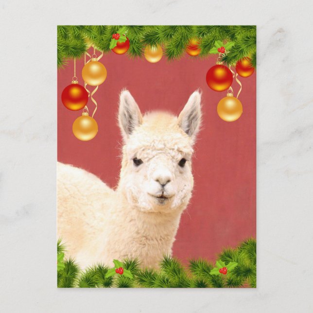 Niedlicher Llama Weihnachtsfeiertag Postkarte (Vorderseite)