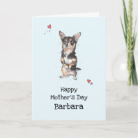 Niedlicher lustiger Black und Tan Chihuahua Mutter