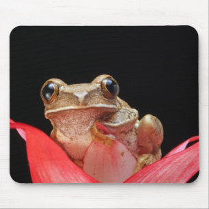Niedlicher, lustiger Frosch, der auf Lilie - Mousepad