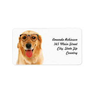 Niedlicher lustiger Golden Retriever Adressaufkleber