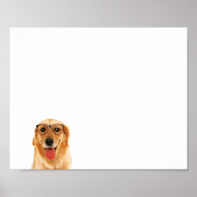Niedlicher lustiger Golden Retriever Poster (Vorne)