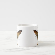 Niedlicher lustiger kleiner Miniaturhund