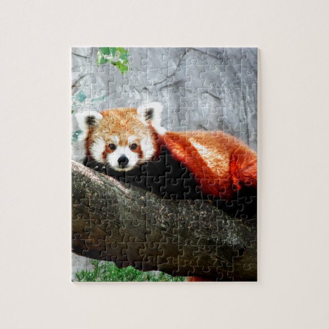 niedlicher lustiger tierischer roter Panda Puzzle (Vertikal)