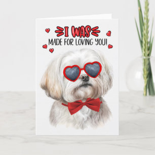 Niedlicher maltesischer Hund, der für die Liebe zu Feiertagskarte