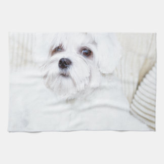 Niedlicher maltesischer Hund Geschirrtuch