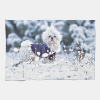 Niedlicher maltesischer Hund Handtuch