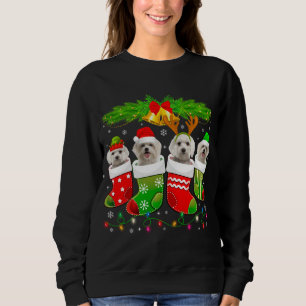 Niedlicher maltesischer Hund in Socken Weihnachten Sweatshirt