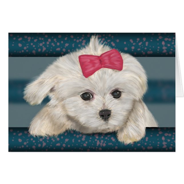 Niedlicher maltesischer Hund mit Creme Fur und Red (Vorderseite (Horizontal))