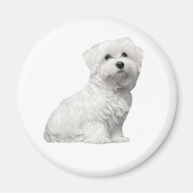 Niedlicher maltesischer Hund sitzender Welpe Magnet (Vorne)