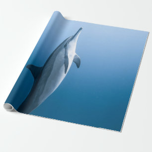 Niedlicher Meerestier Geschenkpapier
