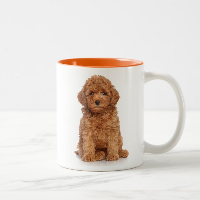Niedlicher Mini-Golden-Doodle Zweifarbige Tasse (Rechts)
