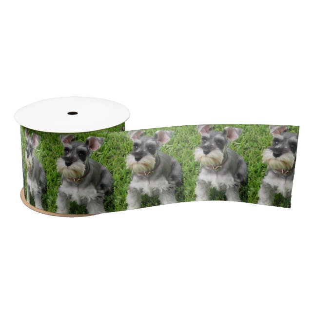 Niedlicher Mini-Schnauzer auf Grassohle Satinband (Spule)