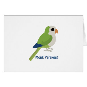 Niedlicher Monk Parakeet