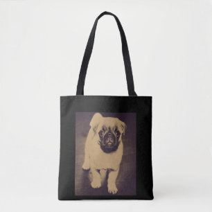 Niedlicher Mops Dog Portrait