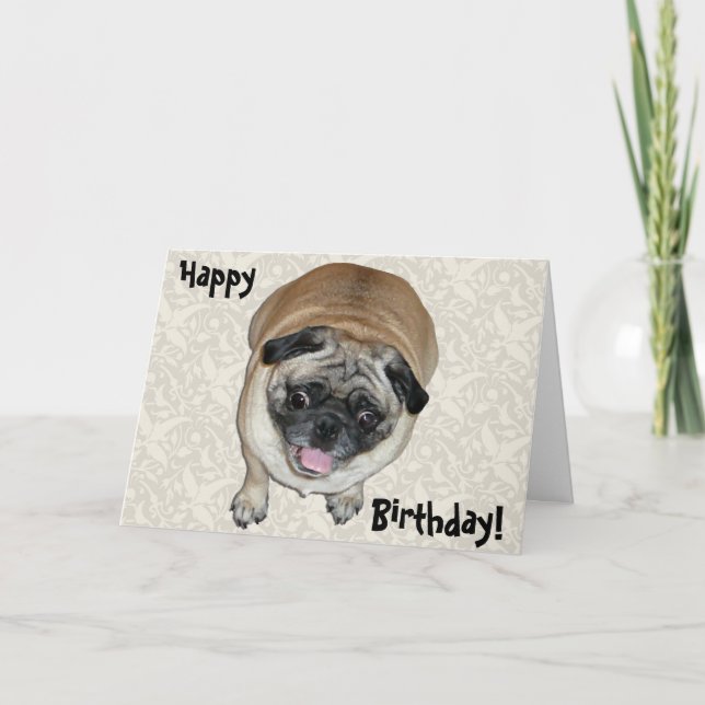 Niedlicher Mops Hund Geburtstag Karte (Vorderseite)