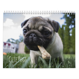Niedlicher Mops-Hundekalender - kundengerecht Kalender