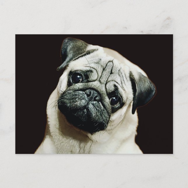 Niedlicher Mops Postkarte (Vorderseite)