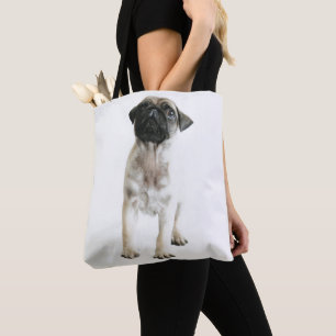 Niedlicher Mops-Welpe