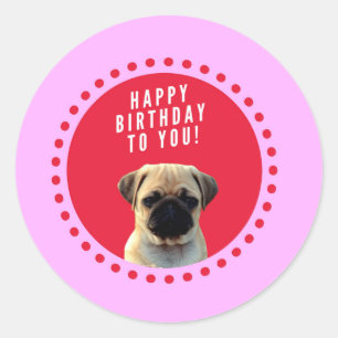 Niedlicher Mops Welpen Hund Happy Birthday Red Dot Runder Aufkleber