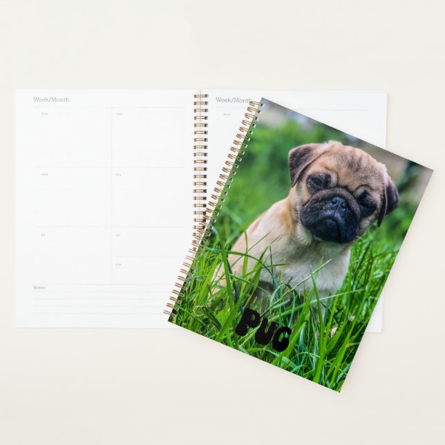 Niedlicher Mops Welpenkalender-Planer Planer (Anzeige)