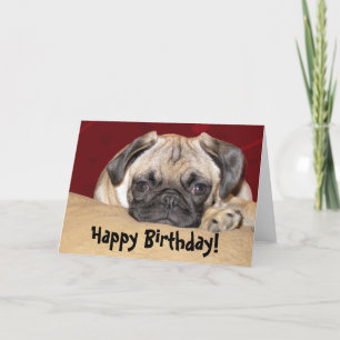 Niedlicher Mops Welppy Birthday Wish Karte