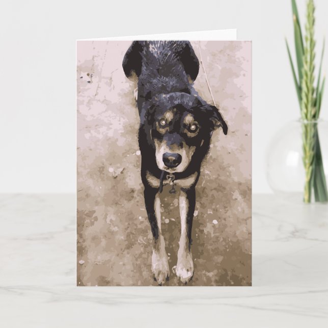 Niedlicher Muddy und Nasshund, braun und schwarz Karte (Vorderseite)