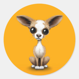 Niedlicher neugieriger Chihuahua mit den großen Runder Aufkleber