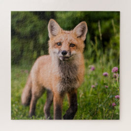 Niedlicher, neugieriger Rotfuchs Puzzle