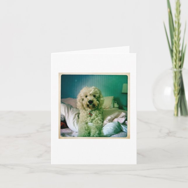 Niedlicher Notecard Goldendoodle Karte (Vorderseite)