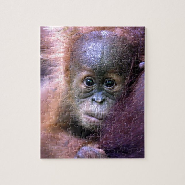 Niedlicher Orang-Utan-Baby auf Sumatra Puzzle (Vertikal)