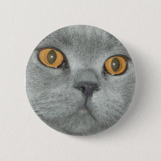 Niedlicher orange mit Augen Kitty-Knopf Button