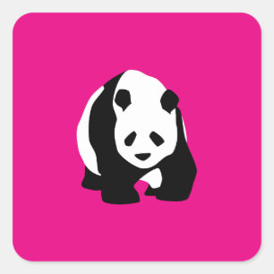 Niedlicher Panda Bär Hot Pink Fuchsia Zoo Wildlife Quadratischer Aufkleber