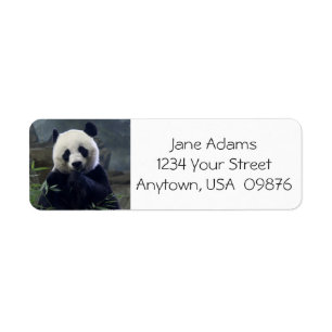 Niedlicher Panda-Bär, personalisiert